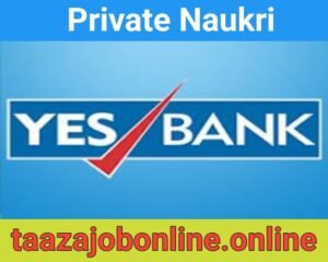 Yes Bank Job Recruitment For Credit Managers 