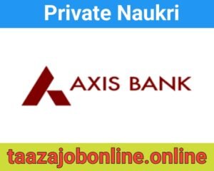 Axis Bank Job Vacancy For Relationship Managers | Field Executives | MIS