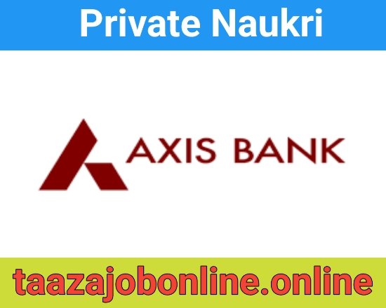 Axis Bank Job Vacancy For RM | Field Executives | MIS